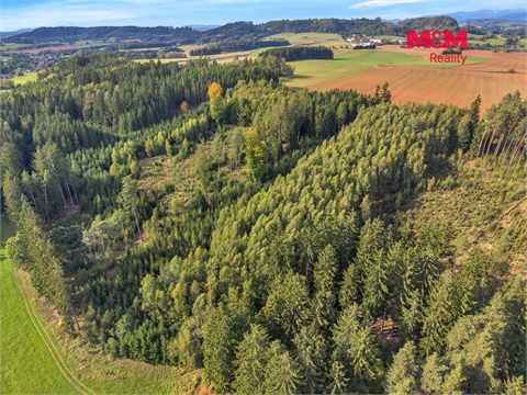 Prodej lesu, 8 513 m² - 6