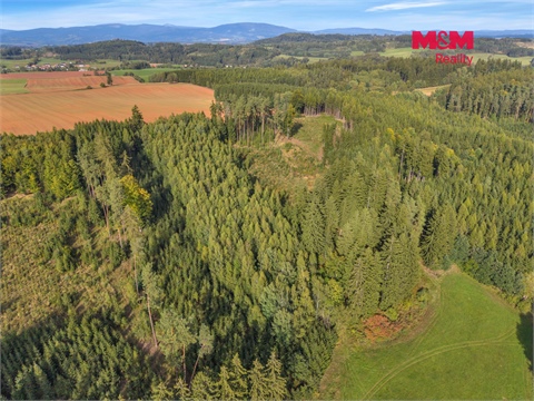 Prodej lesu, 8 513 m² - 2