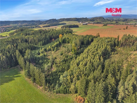 Prodej lesu, 8 513 m² - 0