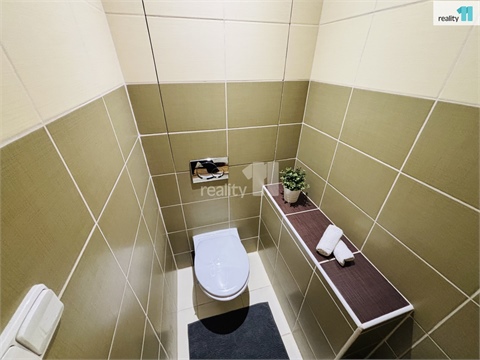 Pronájem bytu 3kk, 51 m² 12