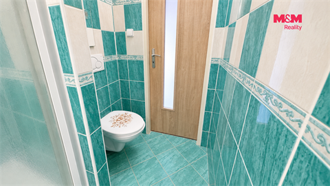 Pronájem bytu 2+1, 55 m² 12