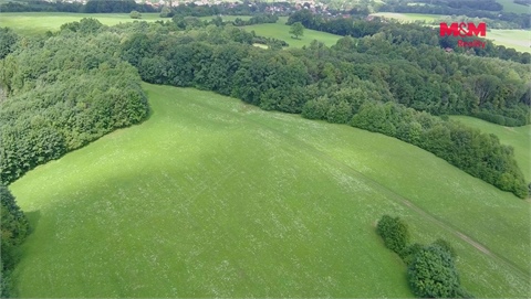 Prodej louky, 4 766 m² - 0