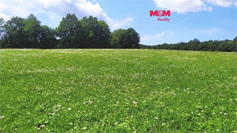 Prodej louky, 4 766 m² 0