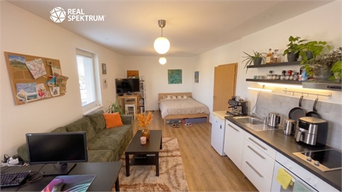 Pronájem bytu 1kk, 38 m² 4