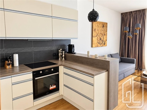 Pronájem bytu 2kk, 60 m² 4