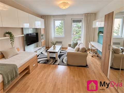 Pronájem bytu 1+1, 40 m² 0