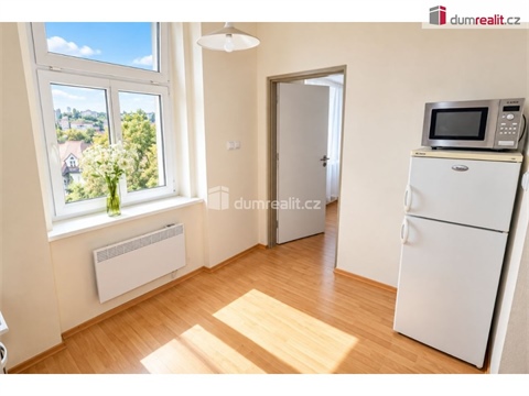 Pronájem bytu 1+1, 25 m² - 12