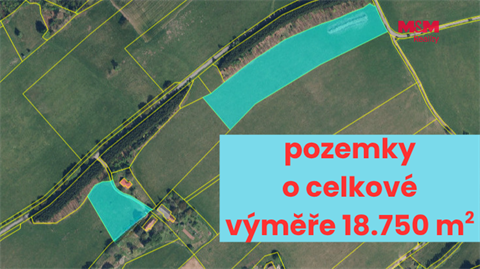 Prodej louky, 3 989 m² - 0