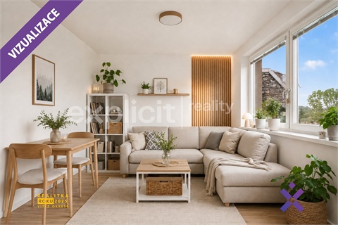 Prodej bytu 2+1, 37 m² 10