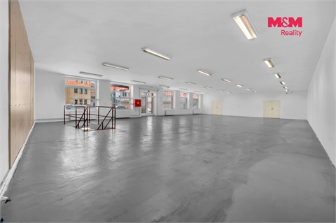 Prodej obchodních prostor, 498 m² - 8