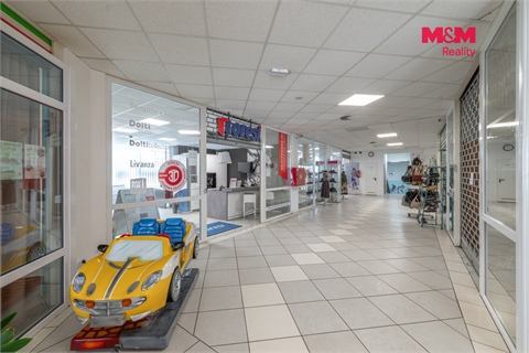 Pronájem obchodních prostor, 117 m² 16