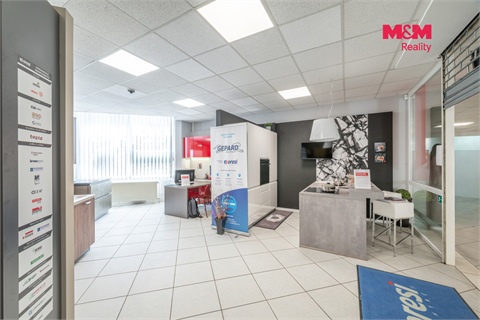 Pronájem obchodních prostor, 117 m² - 14