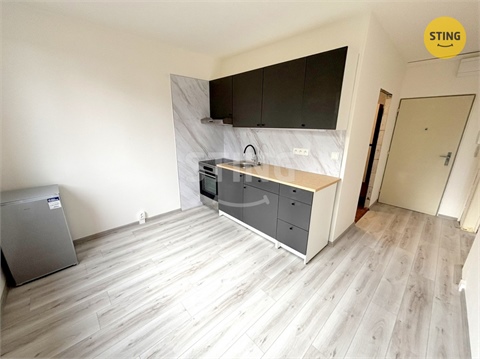 Pronájem bytu 1+1, 35 m² 0