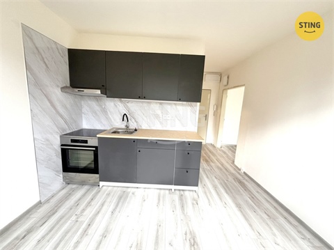Pronájem bytu 1+1, 35 m² - 0