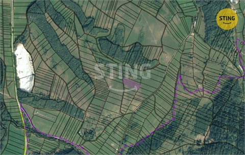Prodej lesu, 19 597 m² - 2