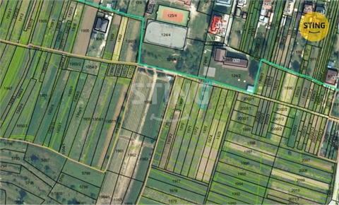 Prodej lesu, 19 597 m² - 0