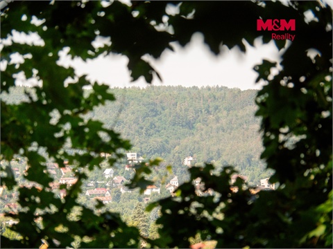 Prodej lesu, 5 606 m² 4
