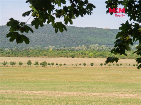Prodej lesu, 5 606 m² - 2