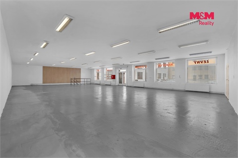 Pronájem obchodních prostor, 498 m² - 0