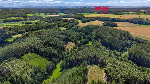 Prodej lesu, 22 447 m² 0