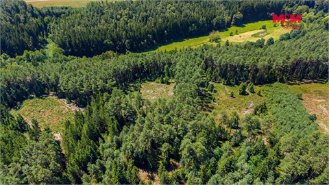 Prodej lesu, 22 447 m² 4