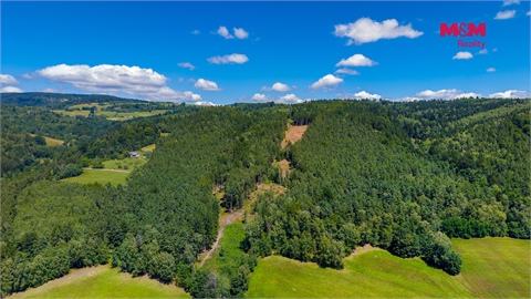 Prodej lesu, 22 447 m² 6