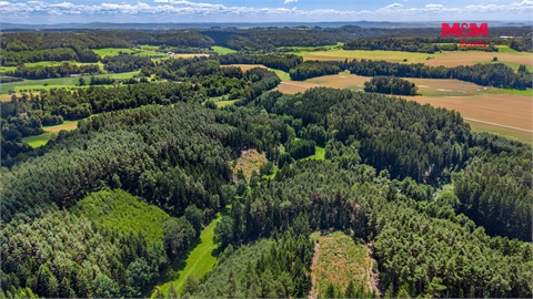 Prodej lesu, 11 944 m² - 6