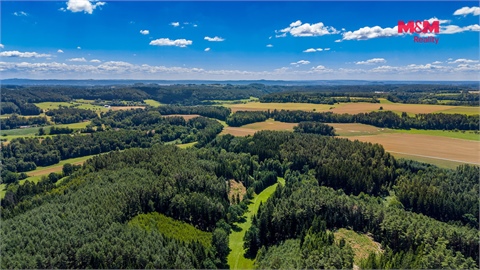 Prodej lesu, 11 944 m² 2