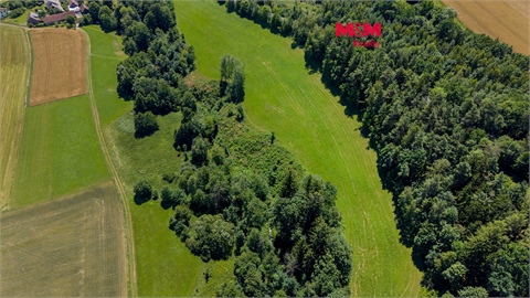 Prodej lesu, 11 944 m² 0
