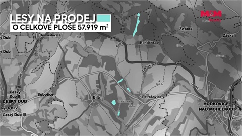 Prodej lesu, 11 944 m² 8