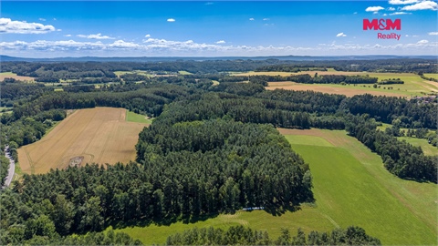Prodej lesu, 11 944 m² - 0