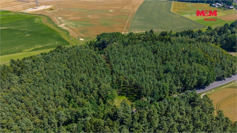 Prodej lesu, 11 944 m² - 4