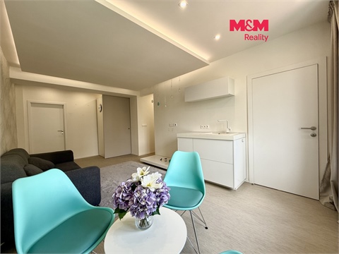 Pronájem bytu 2+1, 54 m² 0