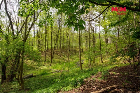 Prodej stavebního pozemku, 6 241 m² - 2