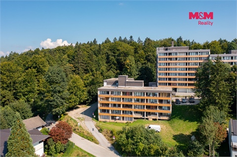 Prodej bytu 1+1, 31 m² - 12