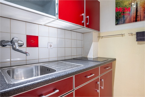 Prodej bytu 1+1, 31 m² - 4