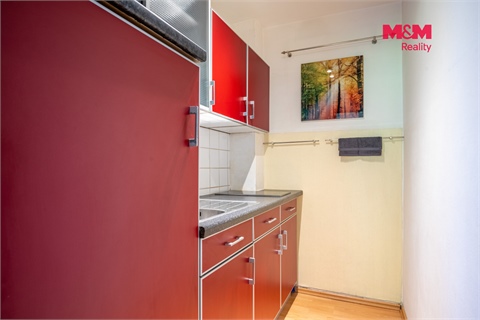 Prodej bytu 1+1, 31 m² 6