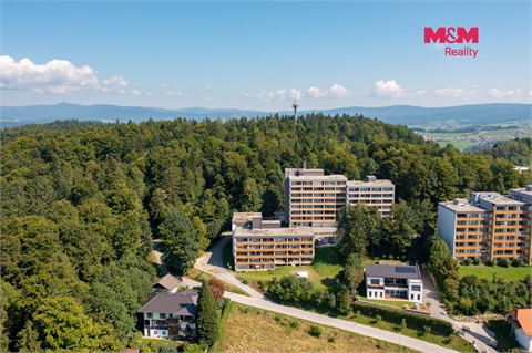 Prodej bytu 1+1, 31 m² 18
