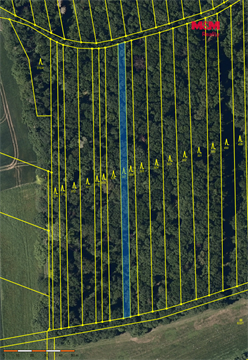 Prodej lesu, 947 m² - 0