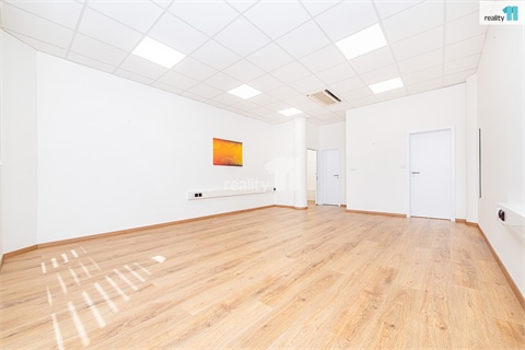 Pronájem obchodních prostor, 48 m² - 4
