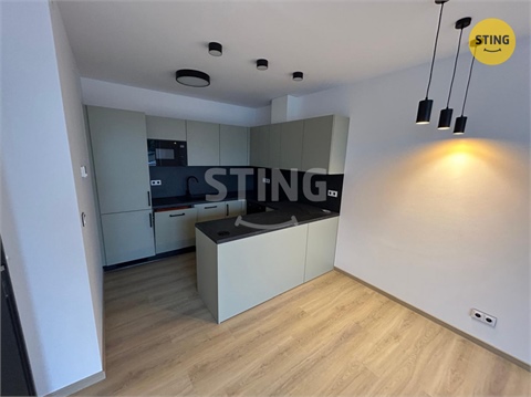 Pronájem bytu 2kk, 56 m² 0
