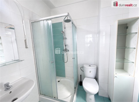 Pronájem bytu 3kk, 100 m² - 16