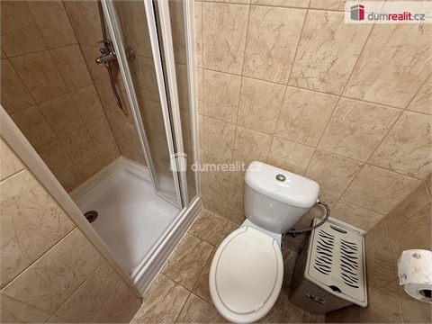 Prodej bytu 1kk, 29 m² 10