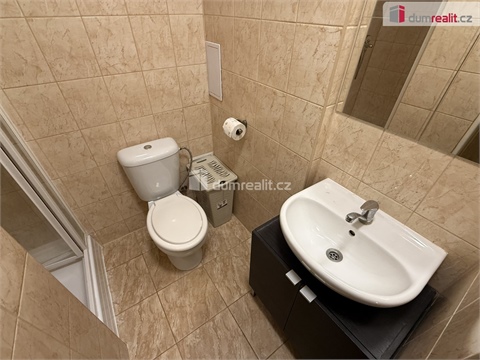 Prodej bytu 1kk, 29 m² - 8