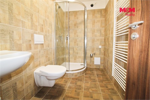 Pronájem bytu 1kk, 30 m² - 2