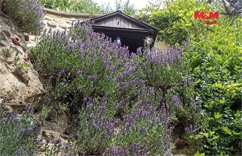 Prodej rodinného domu, 50 m² - 6