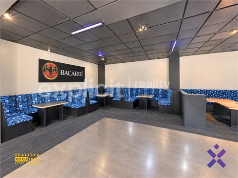 Pronájem komerčního objektu, 200 m² 8