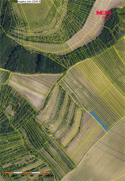 Prodej zemědělské půdy, 2 899 m² - 0