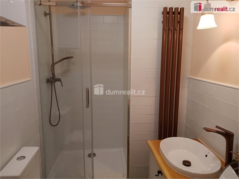 Pronájem bytu 1kk, 20 m² 20