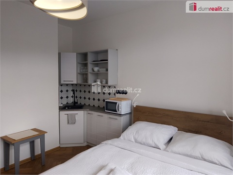 Pronájem bytu 1kk, 20 m² - 10